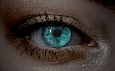 VÝZKUM OČNÍ KAMEROU